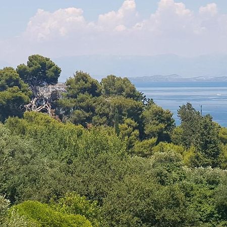 Apartmán Mon Repos Panorama Corfu  Exteriér fotografie